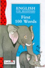 English for Beginners First 100 Words