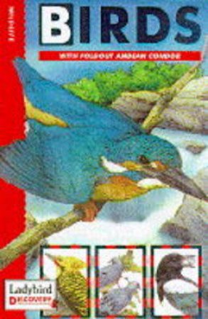 Ladybird Discovery: Birds by Various