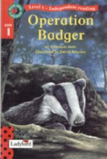 Operation Badger