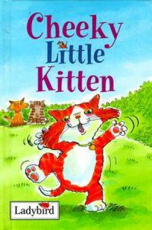 Little Stories: Cheeky Little Kitten by Various