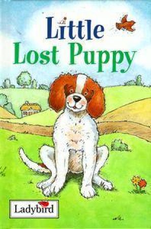 Little Stories: Little Lost Puppy by Various