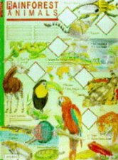 Ladybird Discovery Poster Rainforest Animals