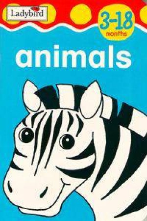 First Focus: Animals by Various