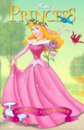 Disney Princess Collection Reader: Princess Aurora: A Moment To Remember by Various