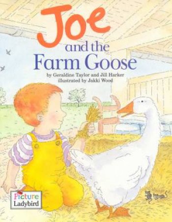 Joe And The Farm Goose by Geraldine Taylor & Jill Harker