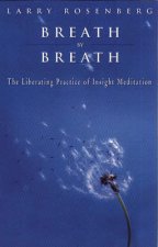 Breath By Breath Insight Meditation