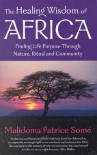 The Healing Wisdom Of Africa