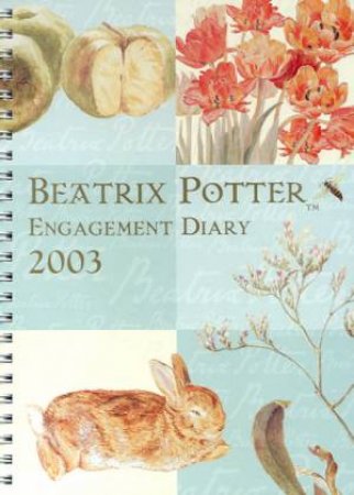 Beatrix Potter Engagement Diary 2003 by Week To View