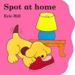 Little Spot Board Book Spot At Home