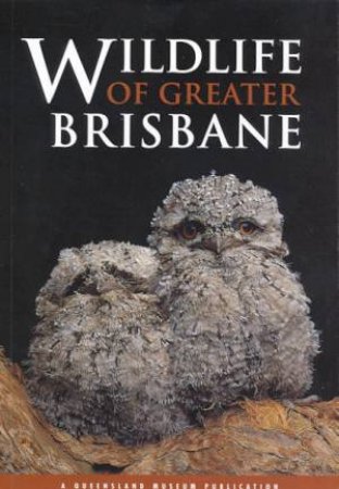 A Queensland Museum Guide: Wildlife Of Greater Brisbane by Various