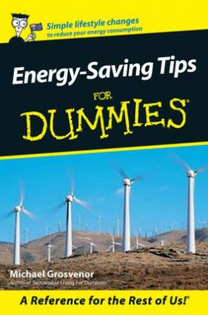 Energy-Saving Tips For Dummies by Michael Grosvenor