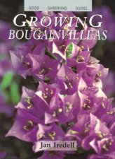 Growing Bougainvilleas