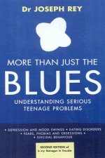 More Than Just The Blues Understanding Serious Teenage Problems