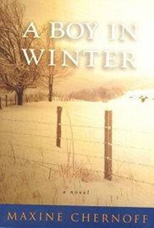 A Boy In Winter by Maxine Chernoff