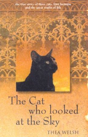 The Cat Who Looked At The Sky by Thea Welsh