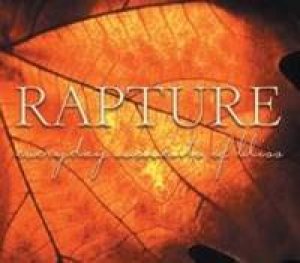 Rapture: Every Day Moments Of Bliss by Various