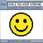 While You Were Working Jokes Fom Cyberspace