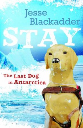 Stay: The Last Dog in Antarctica by Jesse Blackadder