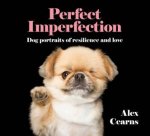 Perfect Imperfection Dog Portraits Of Resilience And Love