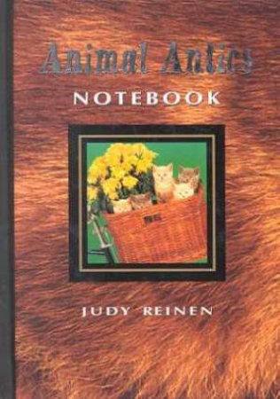 Animal Antics A6 Notebook - Cat by Judy Reinen