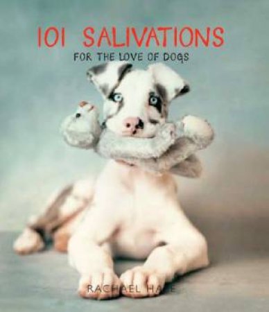 101 Salivations: For The Love Dogs by Rachel Hale