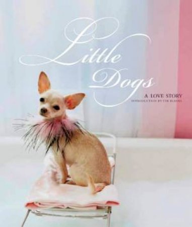 Little Dogs: A Love Story by Tim Blanks