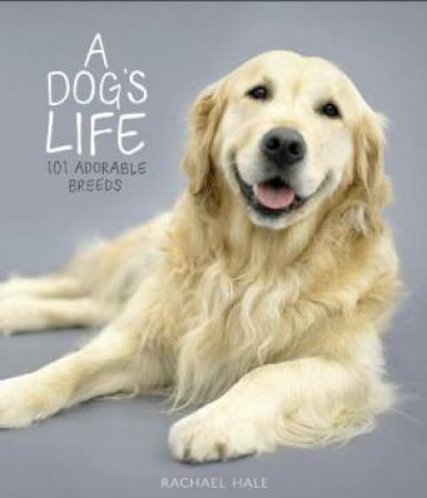 Dogs Life: 101 Adorable Breeds by Rachael Hale