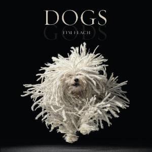 Dogs Gods by Tim Flach