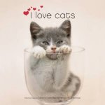 I Love Cats