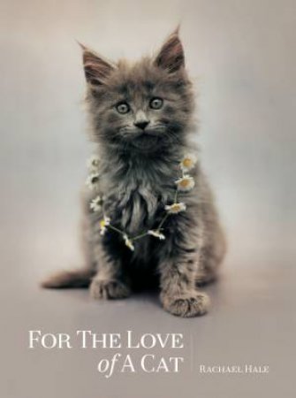 For the Love of a Cat by Rachael Hale-McKenna