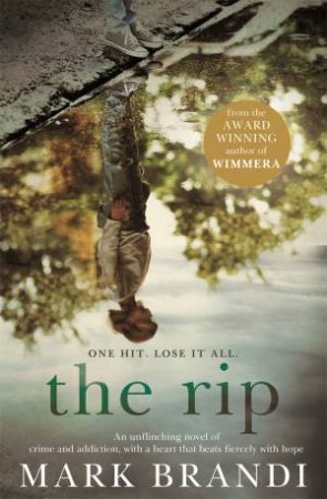 The Rip by Mark Brandi