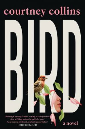 Bird by Courtney Collins