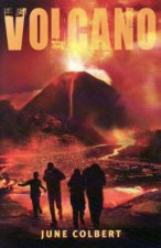 Volcano