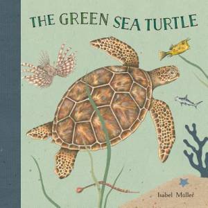 The Green Sea Turtle by Isabel Mller