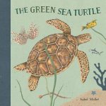 The Green Sea Turtle