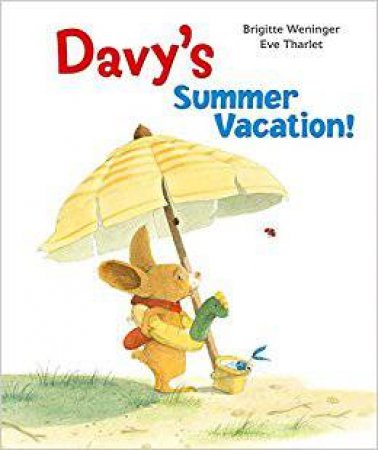 Davy's Summer Vacation by Brigitte Weninger