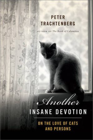 Another Insane Devotion by Peter Trachtenberg