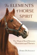 The Elements Of Horse Spirit