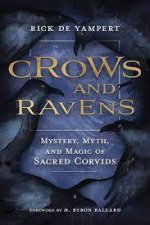 Crows And Ravens