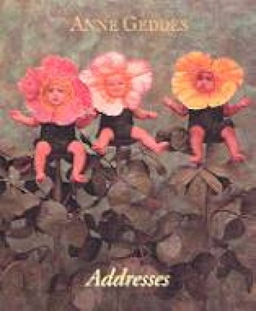 Mini Anne Geddes Addresses - Pansies by Anne Geddes