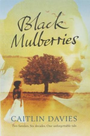 Black Mulberries by Caitlin Davies