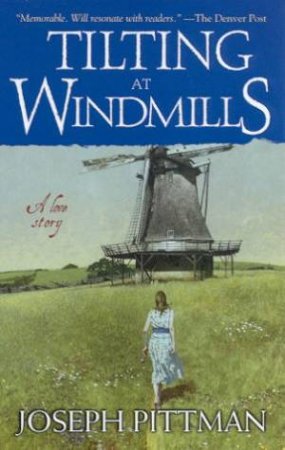 Tilting At Windmills by Joseph Pittman