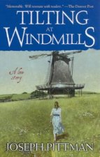 Tilting At Windmills