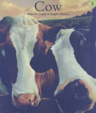 Cow by Malachy Doyle & Angelo Rinaldi