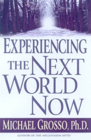 Experiencing The Next World Now by Michael Grosso