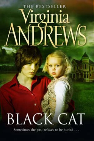 Black Cat by Virginia Andrews