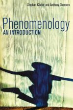 Phenomenology