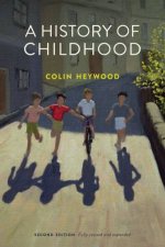 A History Of Childhood 2nd Ed