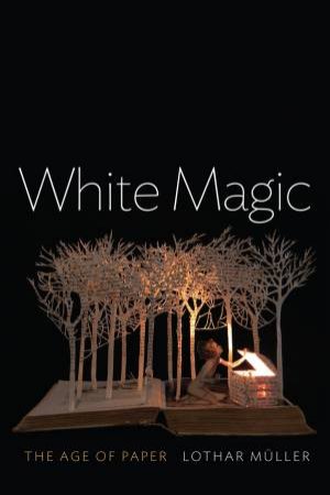 White Magic: The Age Of Paper by Lothar Muller