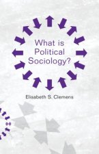 What Is Political Sociology